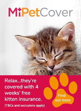 MiPet Cover kitten insurance advert