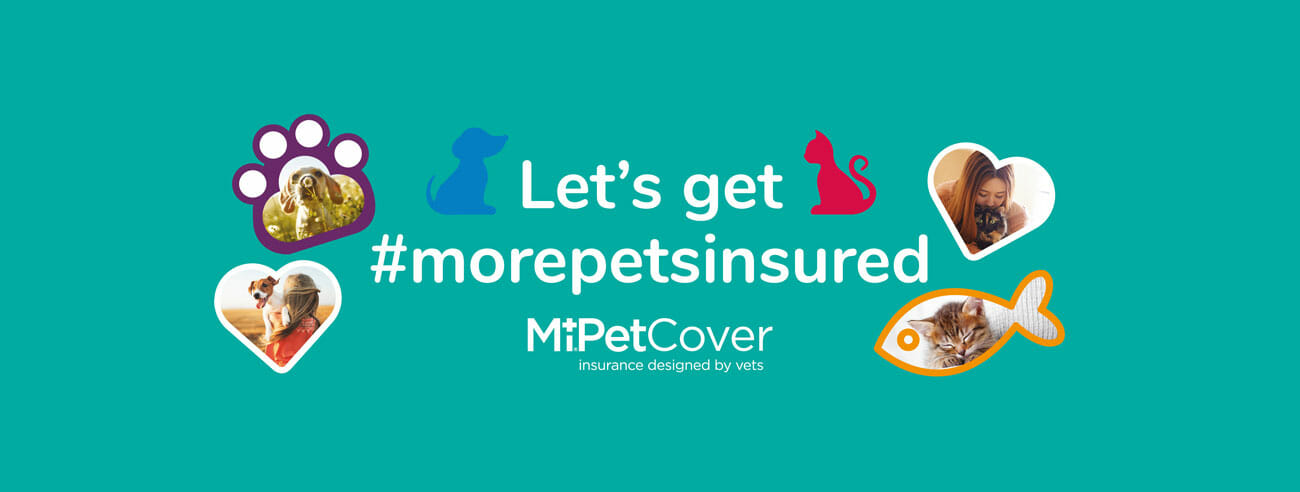MiPet Cover - Let's get #morepetsinsured