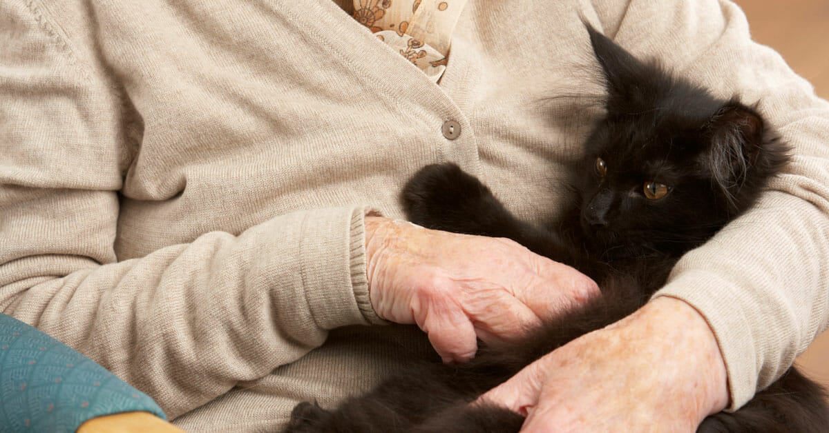 Elderly woman with cat